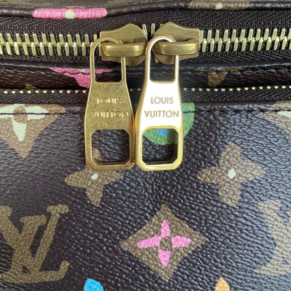 Louis Vuitton x Tyler the Creator - Picture 2 of 10
